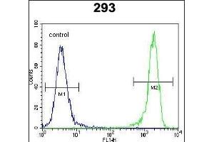 DDIT3 Antibody (C-term ) (ABIN655895 and ABIN2845295) flow cytometric analysis of 293 cells (right histogram) compared to a negative control cell (left histogram).