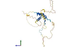 Protein Structure (PS) image for Homeobox D8 (HOXD8) (AA 1-290) protein (His tag) (ABIN7548458)