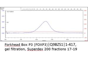Size-exclusion chromatography-High Pressure Liquid Chromatography (SEC-HPLC) image for Forkhead Box P3 (FOXP3) (AA 1-417) protein (His tag) (ABIN3092613)