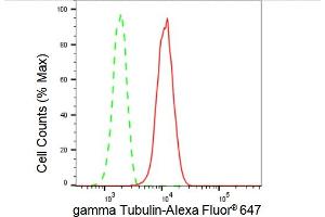 Flow cytometric analysis of gamma Tubulin expression in HepG2 cells using gamma Tubulin antibody (ABIN7800670), 1:2,000). (Rekombinanter gamma Tubulin Antikörper)