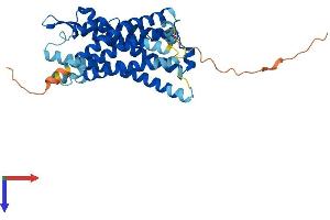 FPR2 Protein (AA 1-351) (His tag)