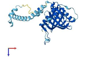 IMP4 Protein (AA 1-291) (His tag)
