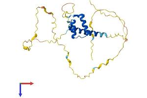 CDX1 Protein (AA 1-268) (His tag)