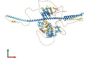 Protein Structure (PS) image for DAZ Interacting Protein 3, Zinc Finger (DZIP3) (AA 1-1208) protein (His tag) (ABIN7553758)