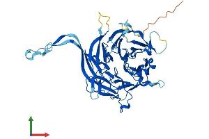 Protein Structure (PS) image for Protein Phosphatase 2, Regulatory Subunit B, delta (PPP2R2D) (AA 1-453) protein (His tag) (ABIN7551732)