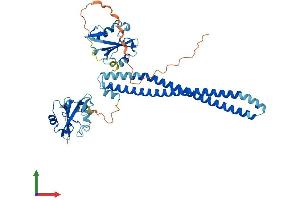 Protein Structure (PS) image for Phosphatidylinositol 3-kinase regulatory subunit gamma (PIK3R3) (AA 1-461) protein (His tag) (ABIN7550440)