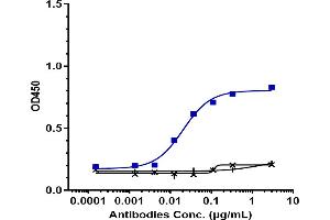 Immobilized human CGRPR VLP Protein at 16 μg/mL can bind Anti-CALCRL / CGRPR Reference Antibody (erenumab), EC50=0.