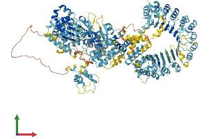 AlphaFold protein structure predicition of Mouse Recombinant Naip1 Protein, UniprotID Q9QWK5