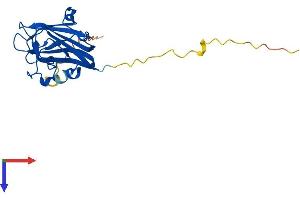 AlphaFold protein structure predicition of Human Recombinant PITHD1 Protein, UniprotID Q9GZP4