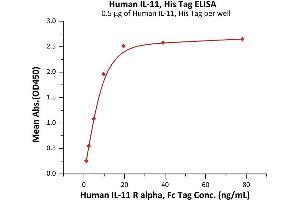 Immobilized Human IL-11, His Tag (ABIN6992342) at 5 μg/mL (100 μL/well) can bind Human IL-11 R alpha, Fc Tag (ABIN6992343) with a linear range of 1-10 ng/mL (Routinely tested).