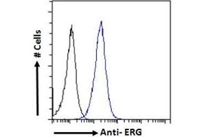 ABIN185550 Flow cytometric analysis of paraformaldehyde fixed MCF7 cells (blue line), permeabilized with 0. (ERG Antikörper  (C-Term))