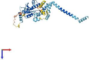 AlphaFold protein structure predicition of Human Recombinant TRABD Protein, UniprotID Q9H4I3 (TRABD Protein (AA 1-376) (His tag))