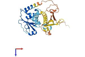 DUSP15 Protein (AA 1-295) (His tag)