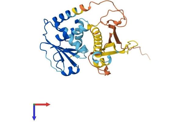 DUSP15 Protein (AA 1-295) (His tag)