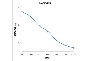ELISA image for anti-Guanine Nucleotide Binding Protein (G Protein), beta Polypeptide 2-Like 1 (GNB2L1) (AA 221-317) antibody (ABIN702070)