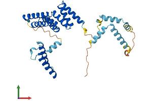 AlphaFold protein structure predicition of Human Recombinant SGTA Protein, UniprotID O43765