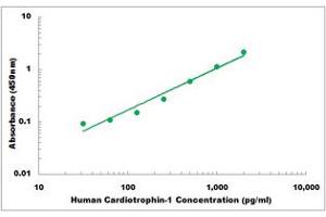 Representative Standard Curve (Cardiotrophin 1 ELISA Kit)