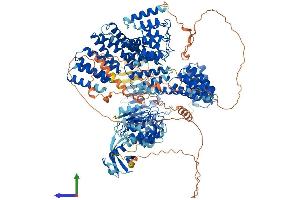 Protein Structure (PS) image for Tonsoku-Like, DNA Repair Protein (NFKBIL2) (AA 1-1378) protein (His tag) (ABIN7555835)