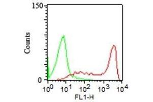 FACS Analysis human of PBMC CD45RA Mouse Monoclonal Antibody (158-4D3) (red) and isotype control (green). (CD45 Antikörper)