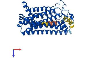 PAQR8 Protein (AA 1-354) (His tag)