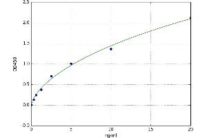 Pyridoxal Kinase (PDXK) ELISA Kit