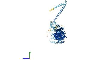 Protein Structure (PS) image for Exocyst Complex Component 3 (EXOC3) (AA 1-755) protein (His tag) (ABIN7557941)