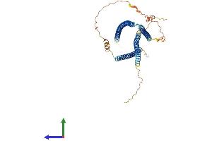 Protein Structure (PS) image for Coiled-Coil Domain Containing 78 (CCDC78) (AA 1-437) protein (His tag) (ABIN7562109)