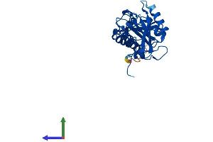 APIP Protein (AA 1-242) (His tag)