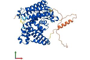 AlphaFold protein structure predicition of Mouse Recombinant Mboat2 Protein, UniprotID Q8R3I2
