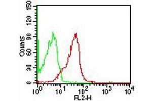 Image no. 1 for anti-CD47 (CD47) antibody (ABIN961100) (CD47 Antikörper)