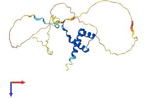 Homeobox C5 Protein (HOXC5) (AA 1-222) (His tag)