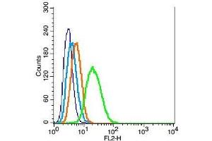 RSC96 probed with Mfn1 Polyclonal Antibody, Unconjugated  at 1:100 for 30 minutes followed by incubation with a conjugated secondary (PE Conjugated) (green) for 30 minutes compared to control cells (blue), secondary only (light blue) and isotype control (orange). (MFN1 Antikörper  (AA 651-741))