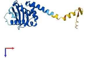 AP3S1 Protein (AA 1-193) (His tag)