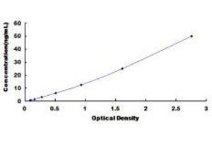 ELISA image for Glutamic-Oxaloacetic Transaminase 2, Mitochondrial (Aspartate Aminotransferase 2) (GOT2) ELISA Kit (ABIN426938)