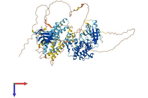 PKN2 Protein (AA 1-983) (His tag)