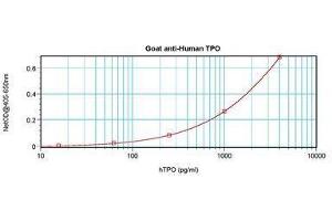 Image no. 3 for anti-Thrombopoietin (THPO) antibody (ABIN465841) (Thrombopoietin Antikörper)