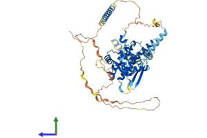 Protein Structure (PS) image for Chromatin Licensing and DNA Replication Factor 1 (CDT1) (AA 1-546) protein (His tag) (ABIN7553164)