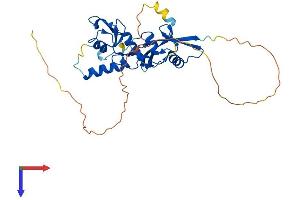 BMI1 Protein (AA 1-326) (His tag)