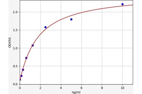 Metabotropic Glutamate Receptor 5 ELISA Kit