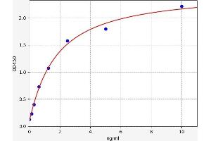 Typical standard curve (Metabotropic Glutamate Receptor 5 ELISA Kit)