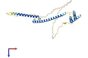 MLX Protein (AA 1-298) (His tag)