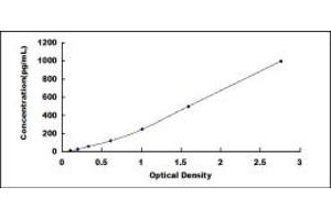 Typical standard curve (BMP2 ELISA Kit)