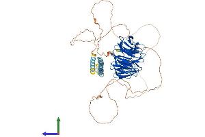 Protein Structure (PS) image for Neural Precursor Cell Expressed, Developmentally Down-Regulated 1 (NEDD1) (AA 1-660) protein (His tag) (ABIN7549782)