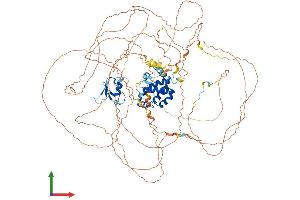 Protein Structure (PS) image for Topoisomerase I Binding, arginine/serine-Rich, E3 Ubiquitin Protein Ligase (TOPORS) (AA 1-1033) protein (His tag) (ABIN7564305)