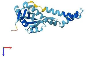 NAT14 Protein (AA 1-206) (His tag)