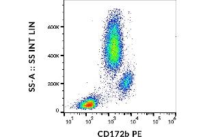 Flow cytometry analysis (surface staining) of human peripheral blood cells with anti-human CD172b (B4B6) PE. (CD172b / SIRP beta Antikörper (PE))