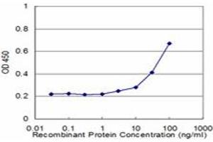 Detection limit for recombinant GST tagged GRIN2B is approximately 3ng/ml as a capture antibody. (GRIN2B Antikörper  (AA 127-236))