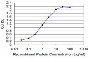 Detection limit for recombinant GST tagged T is approximately 0. (T Brachyury Protein (AA 222-320) Antikörper)