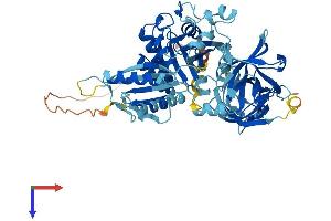 GTPBP2 Protein (AA 1-602) (His tag)