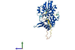 Protein Structure (PS) image for phosphoribosyl Pyrophosphate Synthetase-Associated Protein 2 (PRPSAP2) (AA 1-369) protein (His tag) (ABIN7548933)